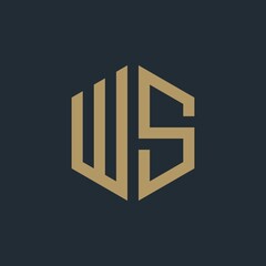 Hexagon cube letter WS logo design inspiration