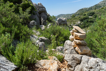 Fototapeta na wymiar hiking trail with rosemary and limestones natural background