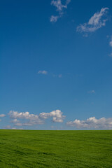 緑の草原と青空に浮かぶ雲
