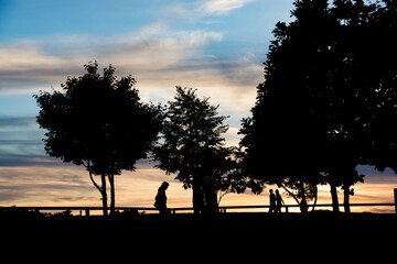 美しい夕暮れの公園
