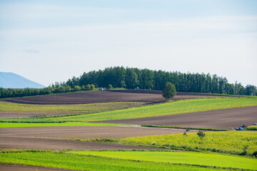 秋の空と丘陵地帯
