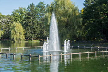 公園の池の中の噴水
