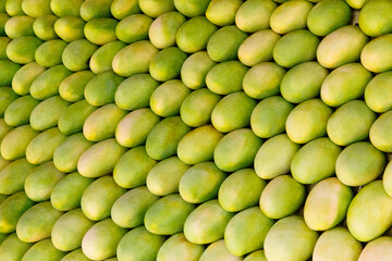 Green mangoes lined up in a row at a street market.