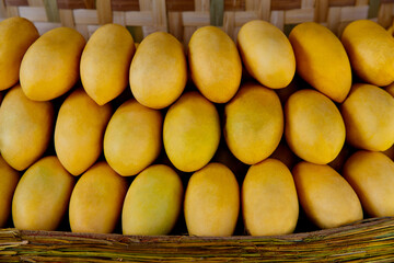 Mango festival. Stand with fresh yellow mango fruits in the street market.