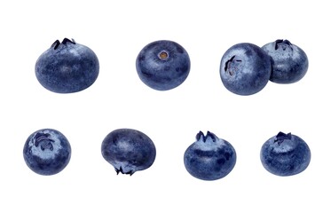 ブルーベリー イラスト リアル セット 粒