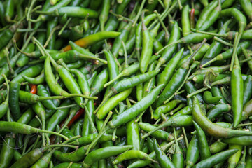 green Chili on the ground