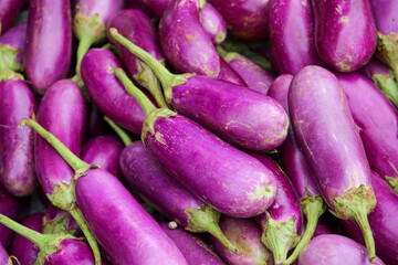 eggplants in the market