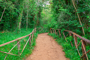 Beautiful path with fences in a leafy green forest. Picture captured in "Monasterio de Piedra", Zaragoza, Aragón, Spain.