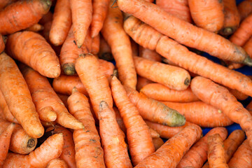 bunch of carrots