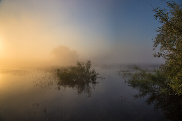thick fog rises over fields in the rays of the rising sun on a warm summer morning