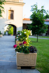 A large ceramic flower pot stands by the sidewalk leading to the entrance to the church. Picture taken in a soft light, shaded place.