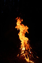 Obraz premium Beautiful flame of a big bonfire.