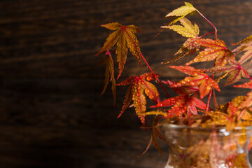 花瓶に入れた水滴の付いた紅葉