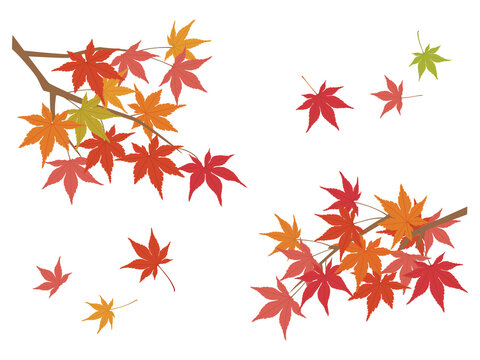 風になびく紅葉　秋のイラスト素材