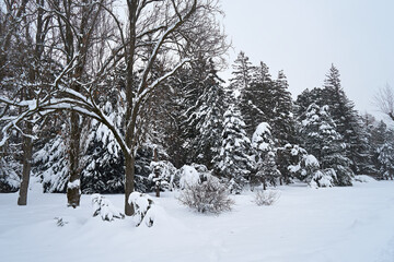 City park covered with snow.