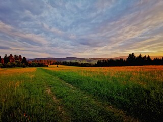 A field road running through a meadow in the colors of the setting sun.