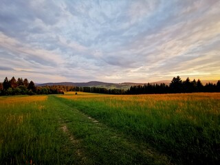 A grassy road through meadows. View at sunset.