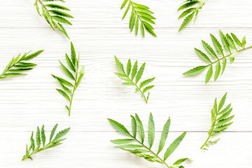 Green leaf branches top view. Floral pattern background