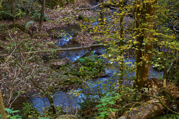 Image of a mountain stream in the autumn forest.