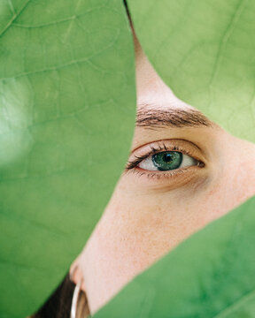 Close up of a young women green eye looking through green leaves