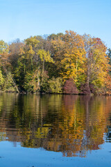 Autumn in the forest