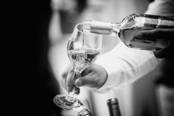 The waiter serves rose and white wine from the wine bottle in the wine glass at an event. - 440301502
