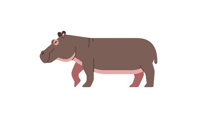 African native animal the hippo or hippopotamus (Hippopotamus amphibius) side angle view, flat style vector illustration isolated on white background