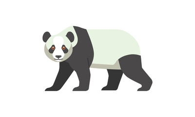 Giant animal Panda bear (Ailuropoda melanoleuca) walking side angle view, flat style vector illustration isolated on white background