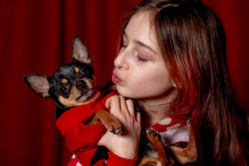 Young girl with pet dog. Teenage girl in red pajamas and a chihuahua dressed in a red sweater