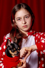 Obraz premium Young girl with pet dog. Teenage girl in red pajamas and a chihuahua dressed in a red sweater