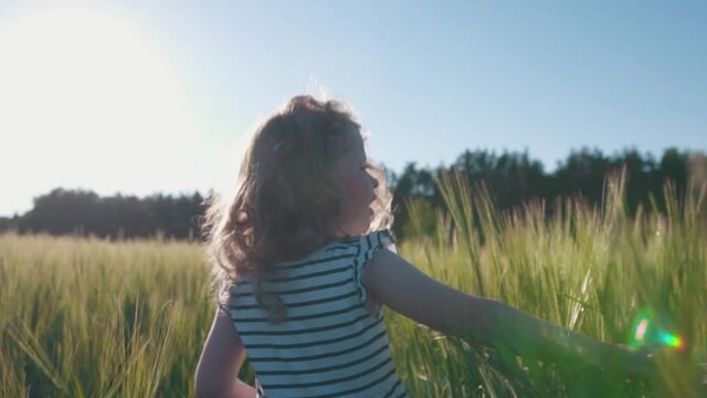 A cute curly-haired girl is walking along a wheat field in the sun at sunset and touching wheat, slowmotion. High quality FullHD footage