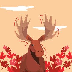 Canada moose and leafs