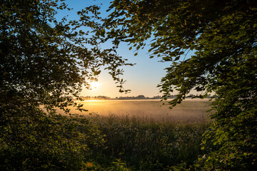 Fototapeta na wymiar Sunrise over meadows with light through the trees