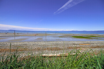 Qualicum beach in Vancouver Island, BC. The view on the green grass in the foreground, the empty sandy beach, wood logs, ocean and blue sky in the background.