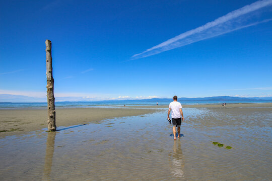 Qualicum beach in Vancouver Island, BC. The view on man walking on the empty sandy beach. Standing wood log, ocean and blue sky in the background.