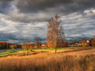 Bright autumn rustic landscape with a tall tree by the road. Dark sky over the village before the storm