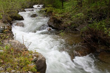 Fototapeta premium wild river in the remote mountain area Hochrindl in the Austria region of Carinthia