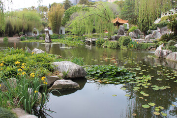 chinese garden in sydney (australia) 