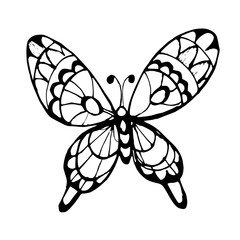 Butterflies insects graphic illustration hand-drawn vector doodle sketch. nature animals wings in flight