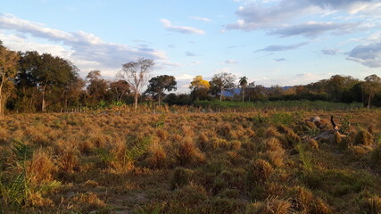 Obraz premium Landscape