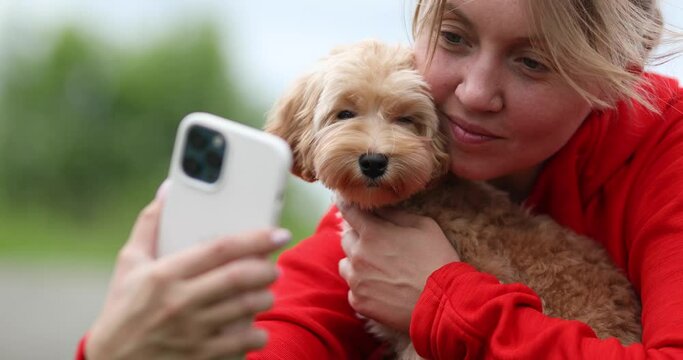 Novosibirsk / Russia - 06.13.2021: Woman selfies with a small Maltipu dog