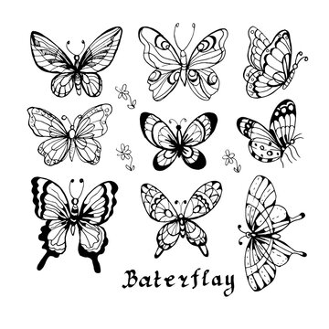 Butterflies insects graphic illustration hand-drawn vector doodle sketch. nature animals wings in flight
