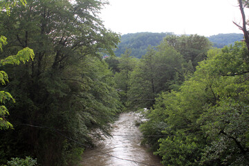 Fototapeta na wymiar Beautiful mountain river in summer.