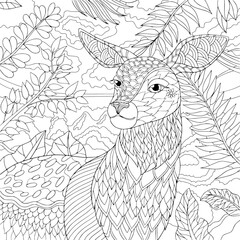 Deer in forest elegant portrait. Coloring book page for adult with doodle and zentangle element. Vector isolated hand drawn line art.