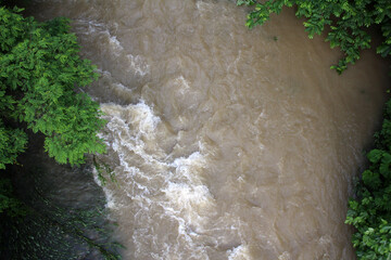 Mountain river in the rain.