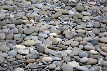 Sea pebbles on the Black Sea beach.