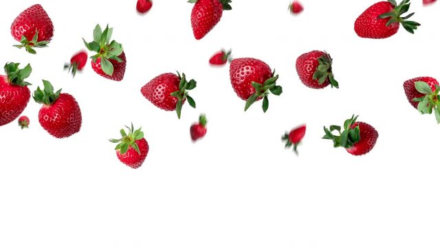 many fresh red strawberries falling above a white background. seamless looping animation