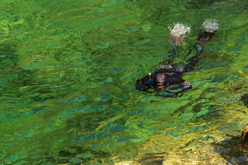 Schnorchler am Traunfall in Oberösterreich