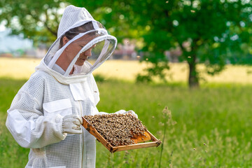 Beekeeper inspects bees in a protective suit