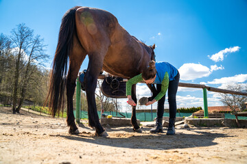 cleaning the hooves of the horse with a brush and a hook